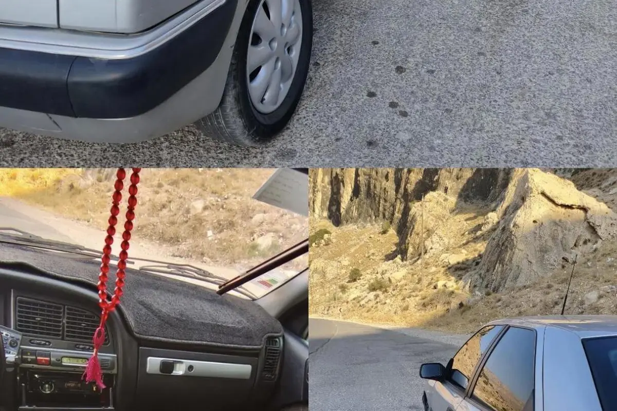 سیتروئن،  زانتیا