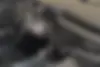 چری،  آریزو 5T اسپرت FL