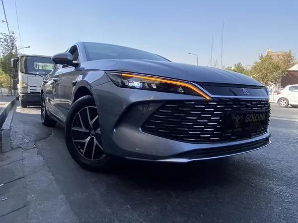 بی وای دی، چین L