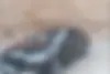 لیفان، 820