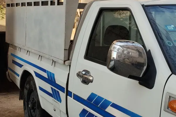 زامیاد، پادرا پلاس