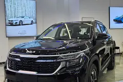 کیا، سلتوس
