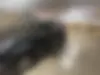ام وی ام،  X22