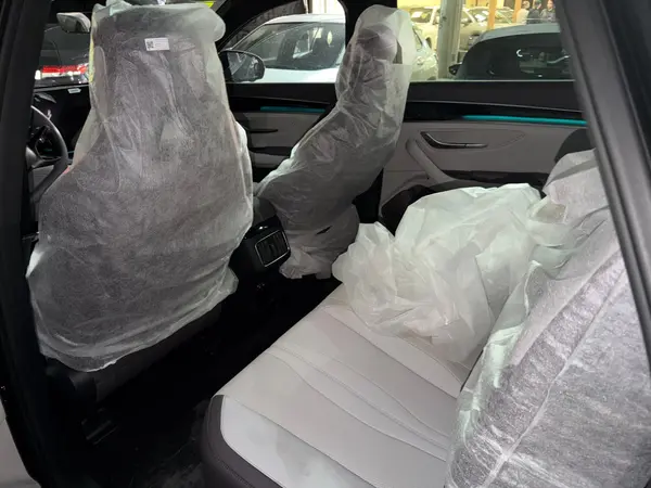 بی وای دی، سانگ پلاس DMi