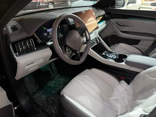 بی وای دی، سانگ پلاس DMi