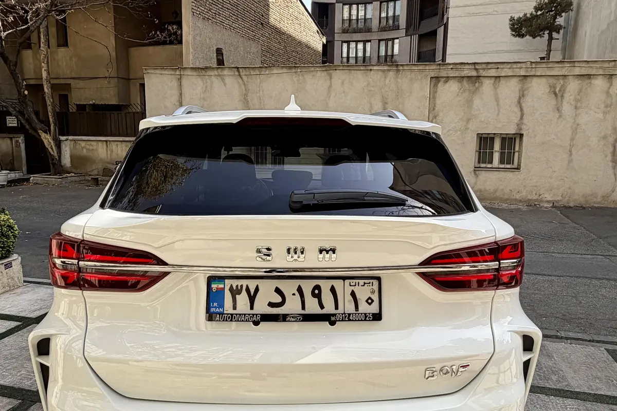 اس دبلیو ام،  G01F