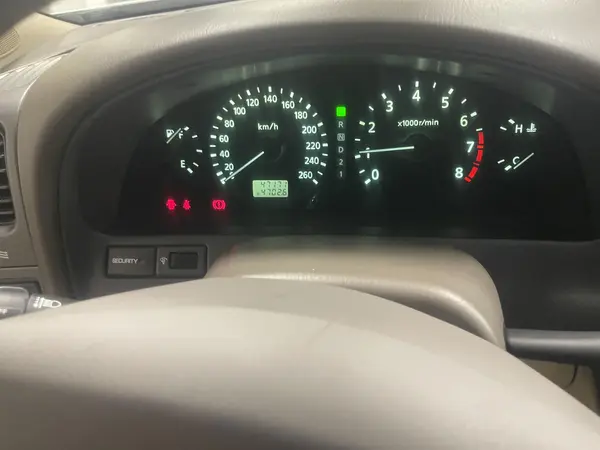 نیسان، ماکسیما