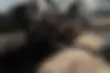 کیا  سراتو (مونتاژ)