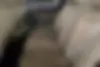کیا  سراتو (مونتاژ)