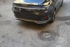 دانگ فنگ، شاین مکس