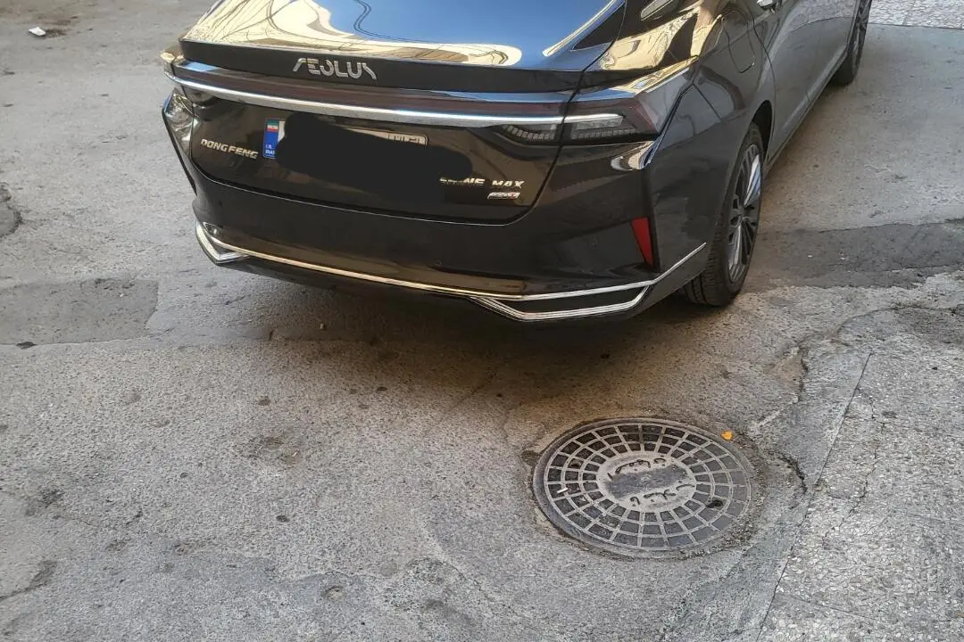 دانگ فنگ،  شاین مکس