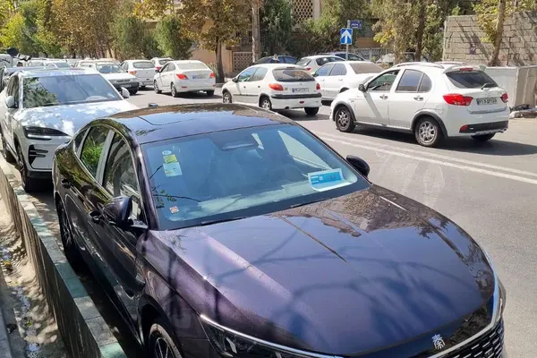 بی وای دی، چین L