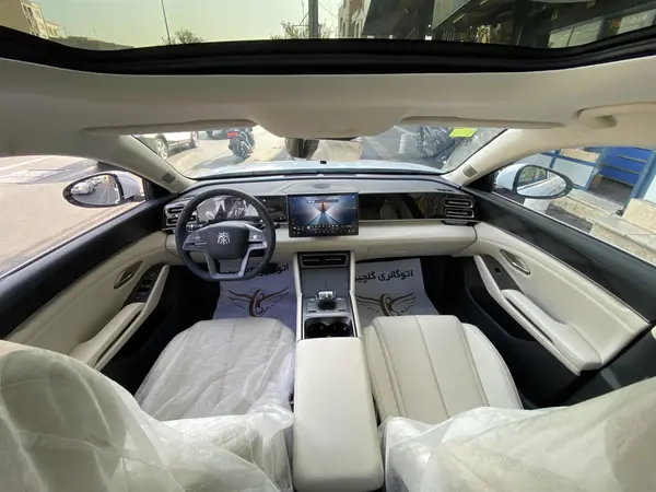 بی وای دی، چین L