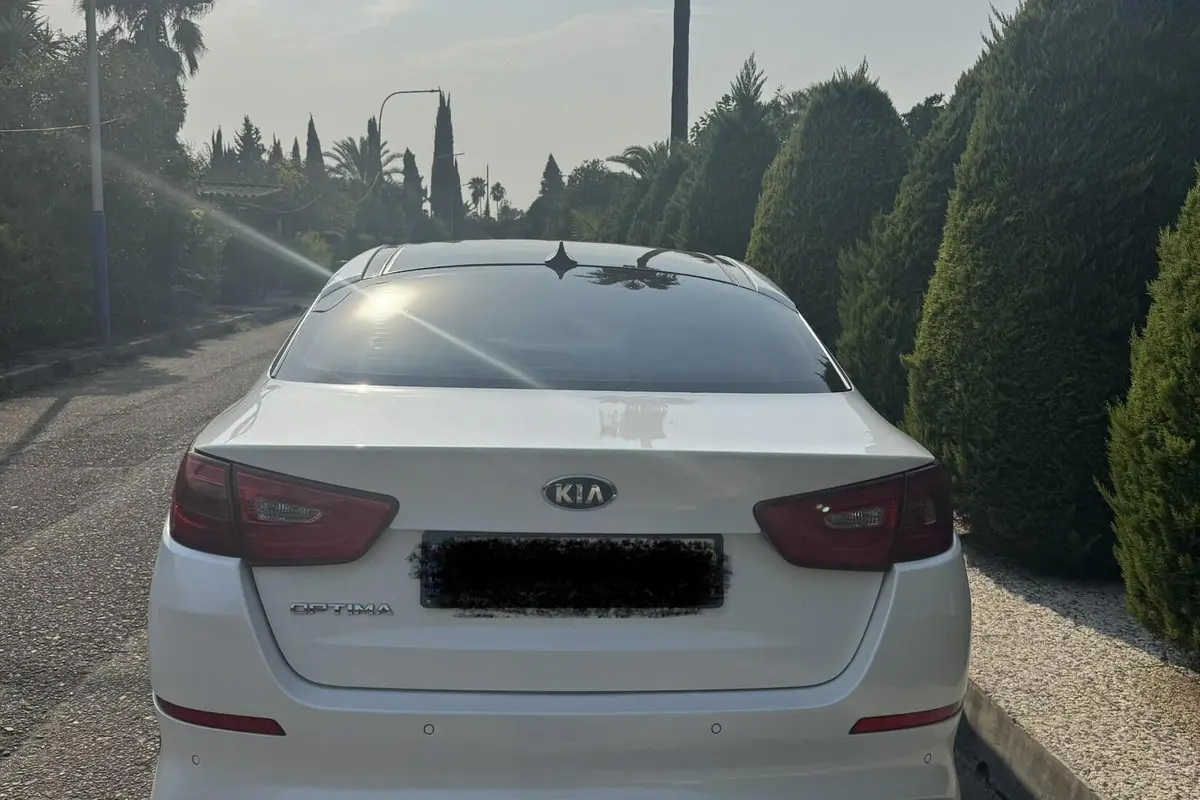 کیا،  اپتیما
