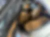 بنز  کلاس E