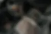 کیا  سراتو
