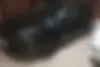 لاماری،  ایما