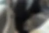 هوندا  وزل