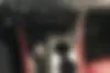 لکسوس،  LX
