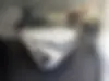 فونیکس، FX