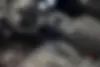 لوکانو،  L7