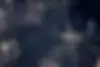 کیا  اپتیما