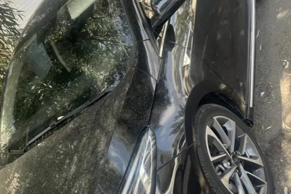 فونیکس، آریزو 6 پرو