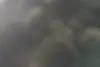 کیا،  سراتو