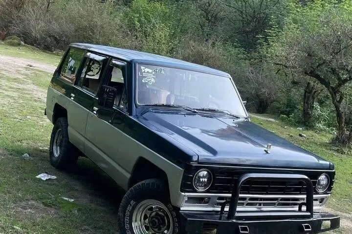 نیسان،  پاترول چهار در