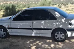 پژو، پارس