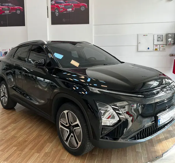 فونیکس، FX EV