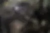 رنو،  فلوئنس