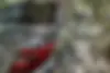 دنا،  پلاس EF7