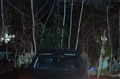 ساینا، EX دنده ای