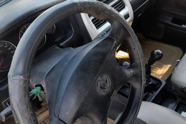 زامیاد، ریچ