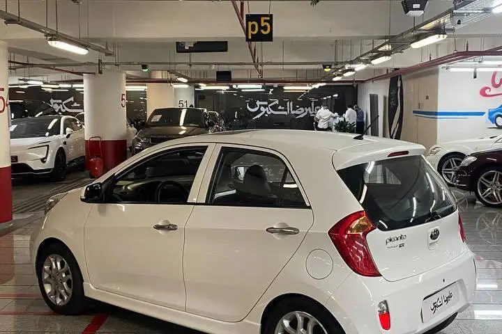 کیا،  پیکانتو