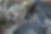 دنا  پلاس EF7