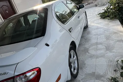 نیسان، ماکسیما