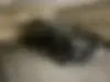 ام وی ام،  X22 PRO