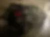 ام وی ام،  X22 PRO