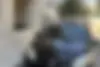 رنو، ساندرو