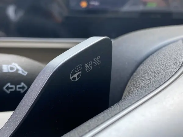 بی وای دی، چین L