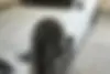 بنز،  کلاس C