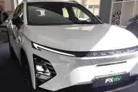 فونیکس، FX EV