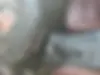 کیا،  سورنتو
