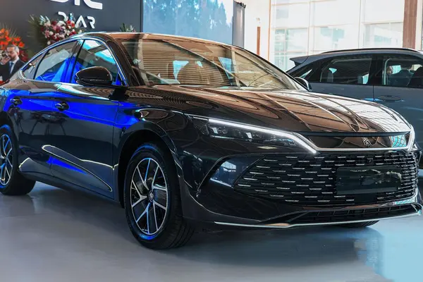 بی وای دی، چین L