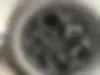 نیسان،  ترا