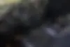 کیا،  سورنتو