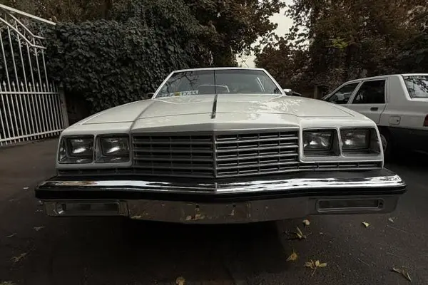 بیوک، لسابر