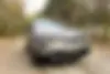 فونیکس، FX EV